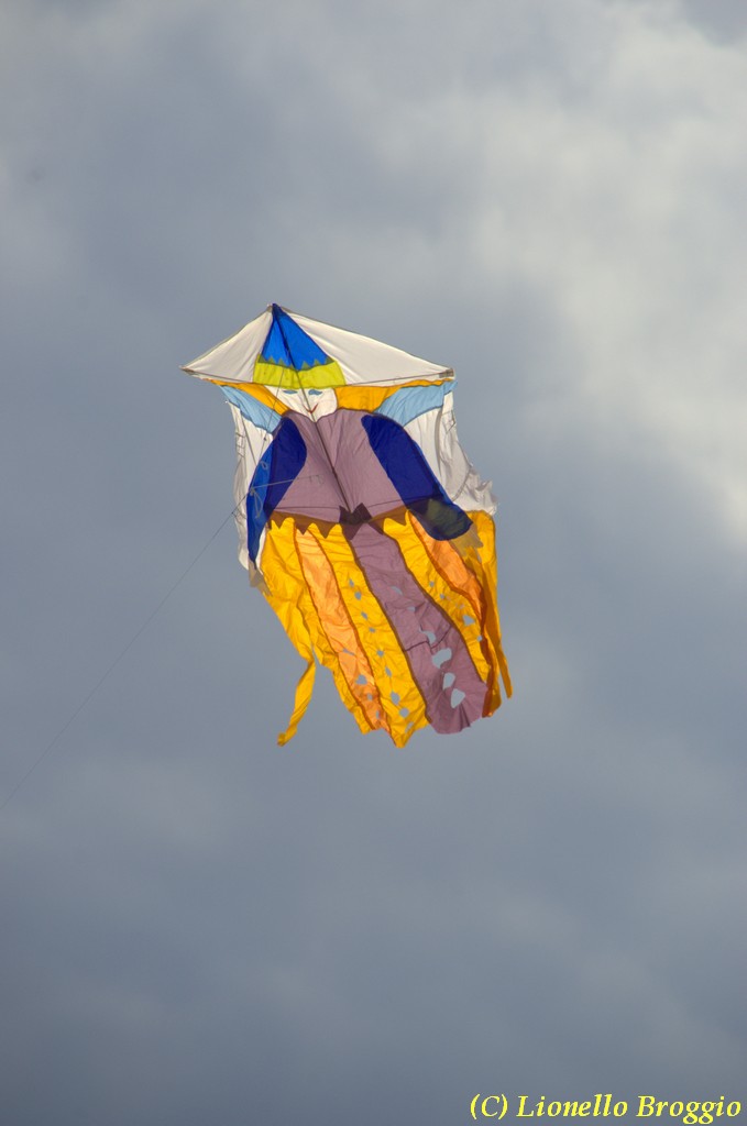 32 FESTIVAL CERVIA 2012 - 334.jpg